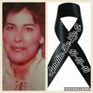 Meet your Posher, Araceli